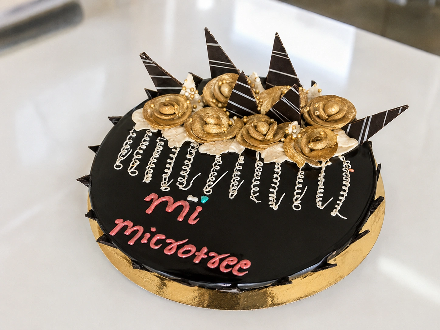 Microtree Tech Solutions Mysore office and team gallery
